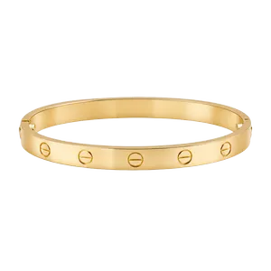 Cartier Love Bracelet