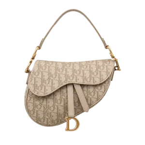 Dior Saddle Bag