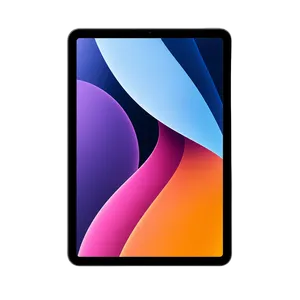 iPad Pro